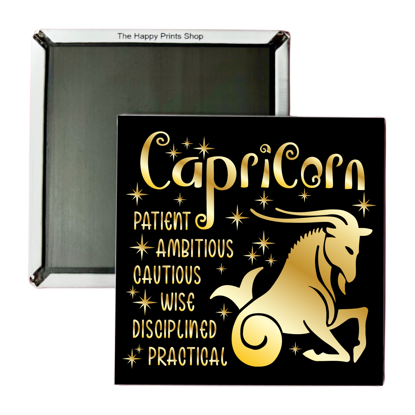 CAPRICORN HOROSCOPE 2X2 MAGNET