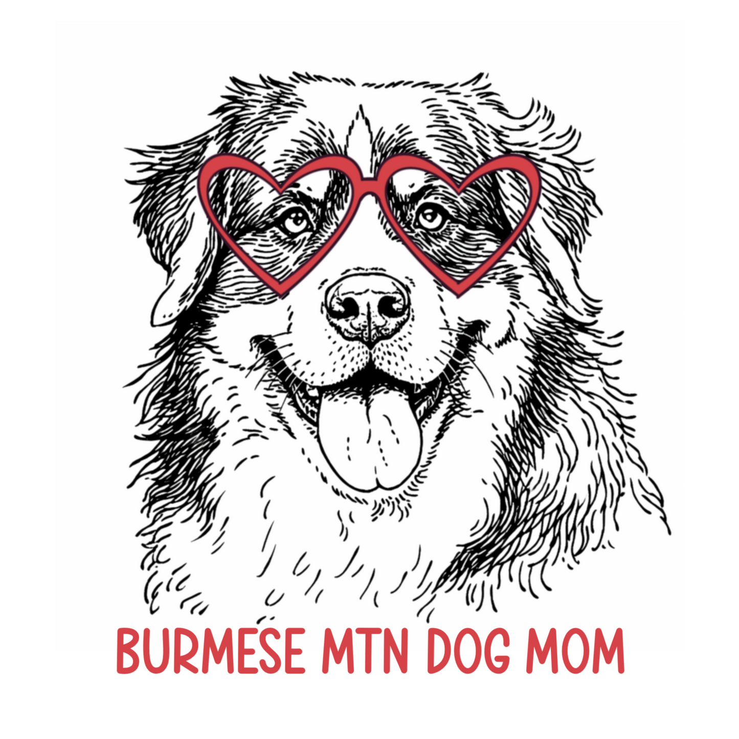 BURMESE MTN DOG MOM