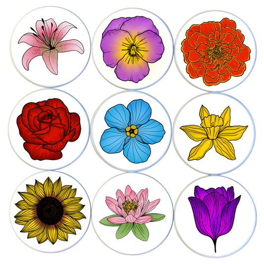 BLOOM AND GROW MINI MAGNET SET
